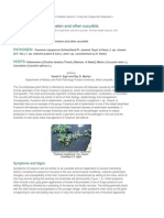 Fusarium Wilt of Watermelon and Other Cucurbits