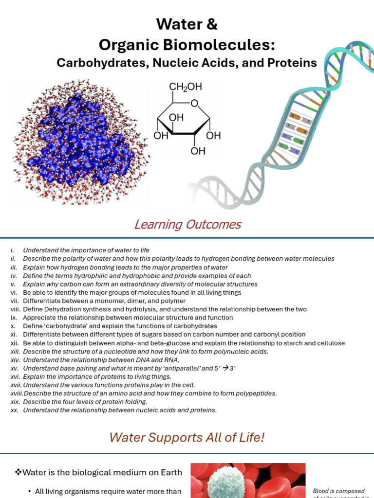 Water's Role in Organic Biomolecules | PDF | Nucleotides | Carbohydrates
