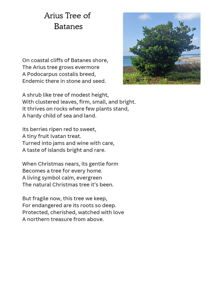 Arius Tree: Batanes' Endemic Treasure | PDF
