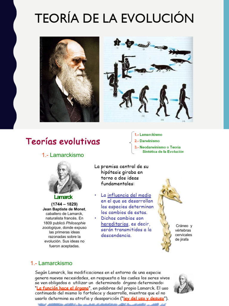 Teorías de la Evolución: Lamarck y Darwin | PDF | Evolución | Charles ...
