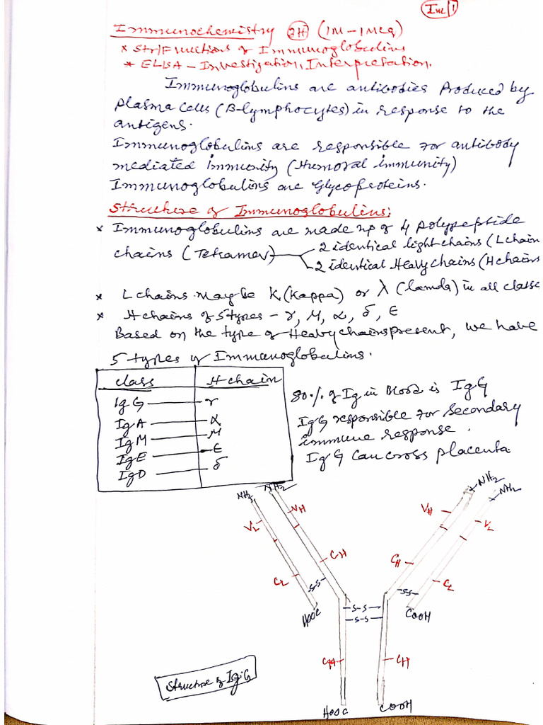 BC.immunoglobulins1 5. | PDF