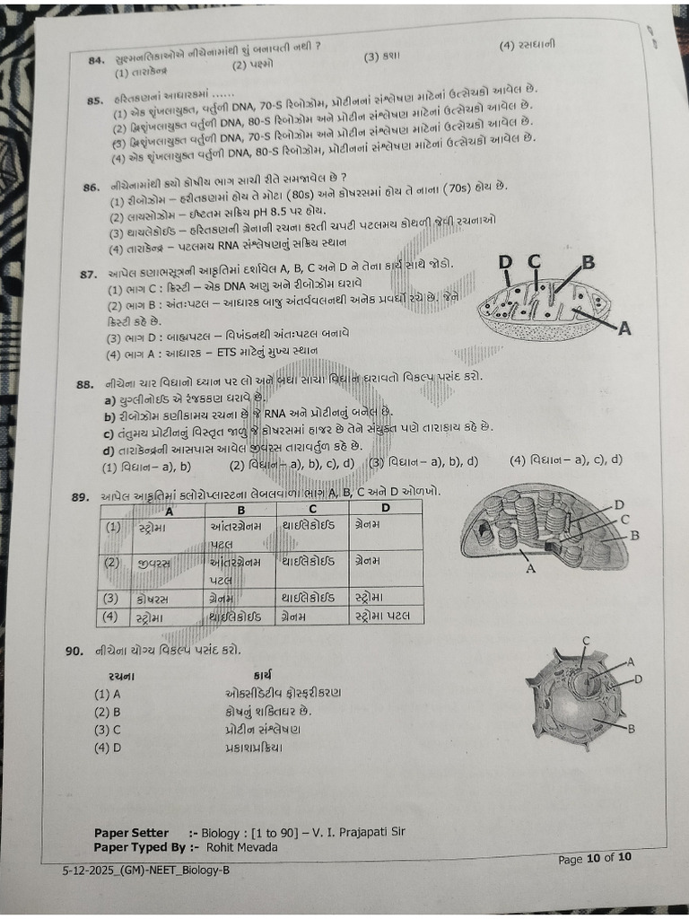 Namra 05_251205_180239 | PDF