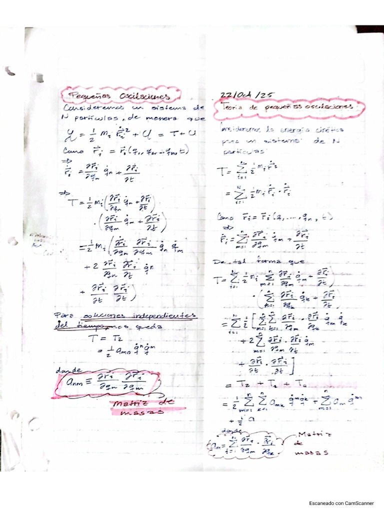Notas Pequeñas Oscilaciones | PDF