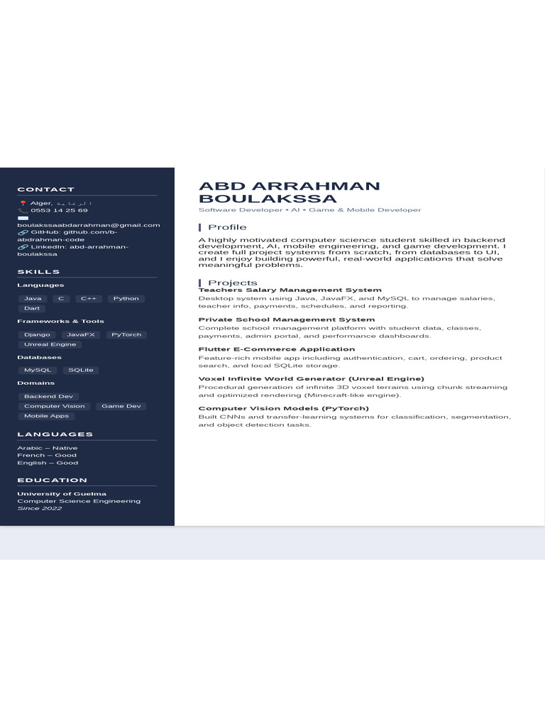Software Developer & AI Specialist Profile | PDF