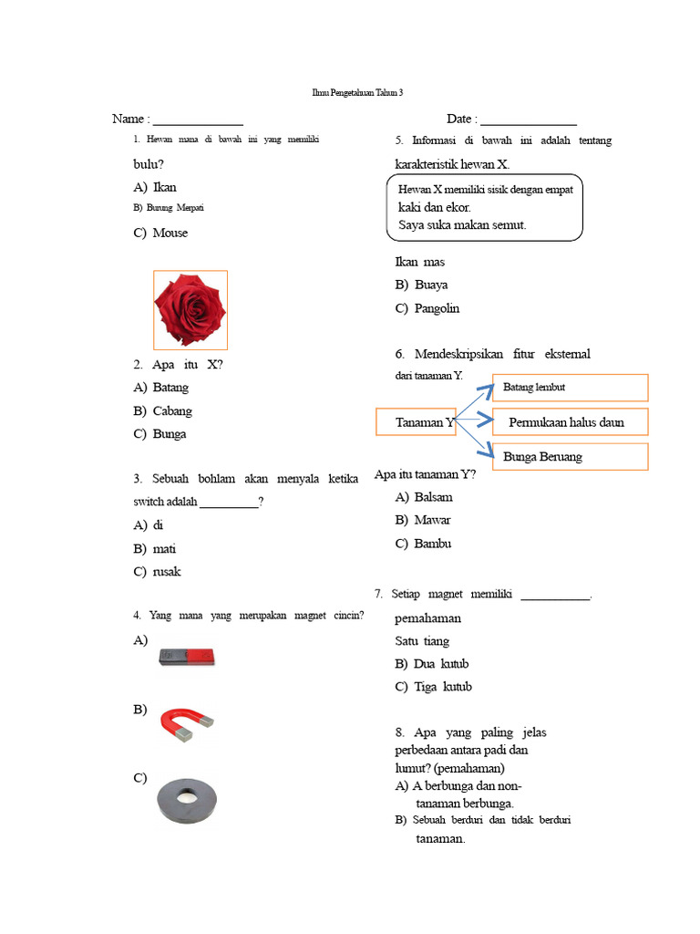 Soal Ilmu Pengetahuan Kelas 3 | PDF