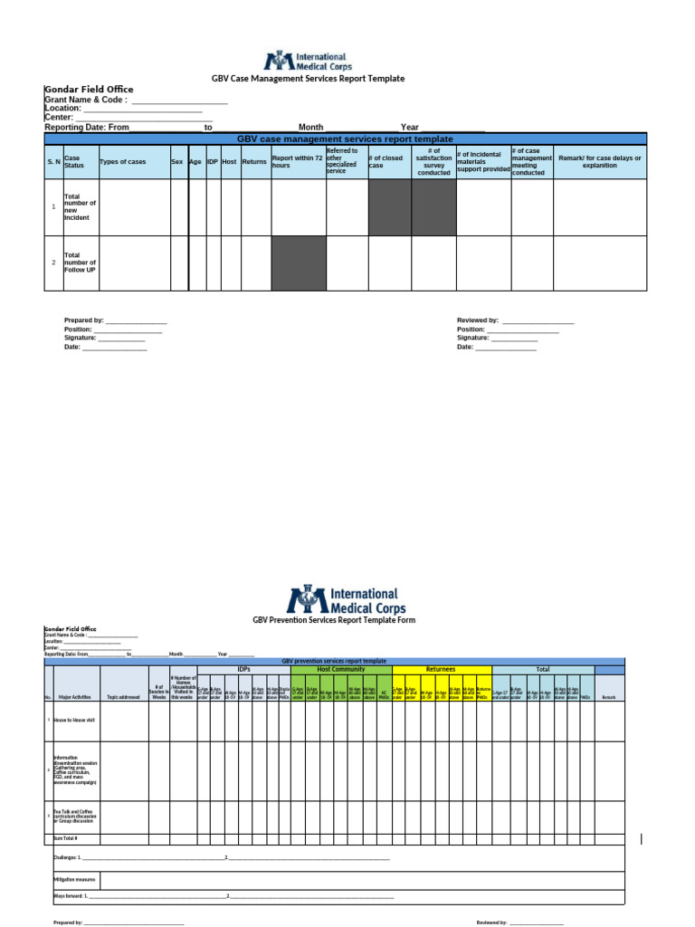 GBV Case Management Report Template | PDF | Gender Equality | Gender ...