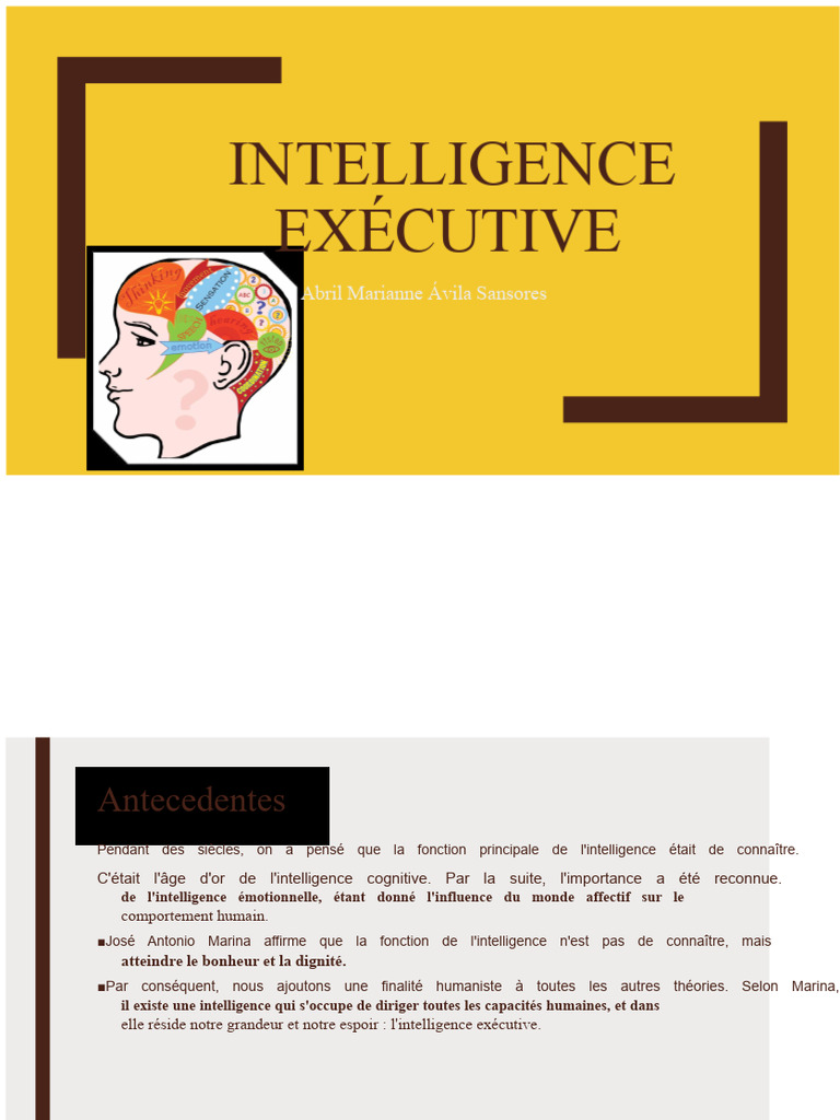 Comprendre l'intelligence exécutive | PDF | Intelligence | Fonctions ...