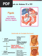 Anatomia do Sistema Venoso Ázigo | PDF | Fígado | Abdômen