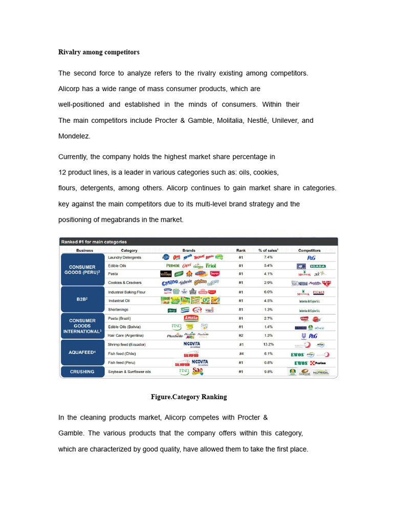 Rivalry Among Competitors | PDF