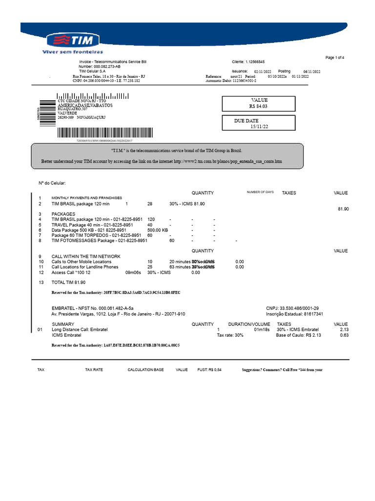 TIM Telecommunications Invoice Summary | PDF | Service Industries ...