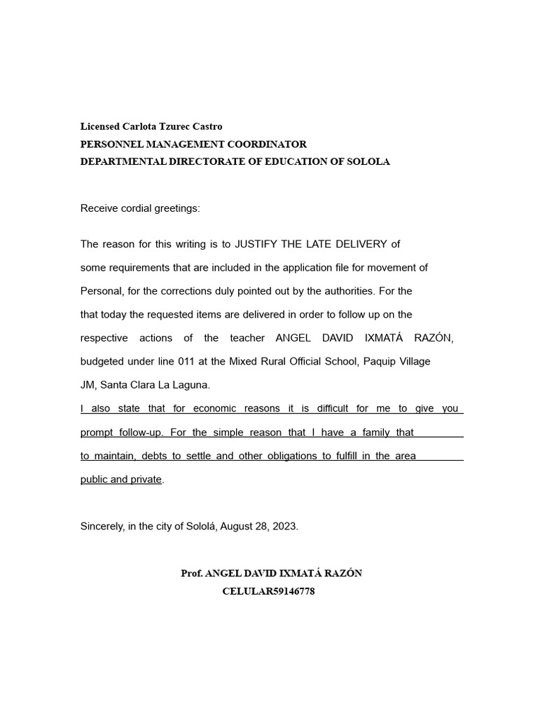Justification for Late Document Submission | PDF