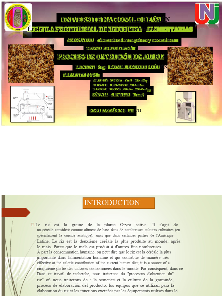 Processus de production du riz détaillé | PDF | Riz | Céréale