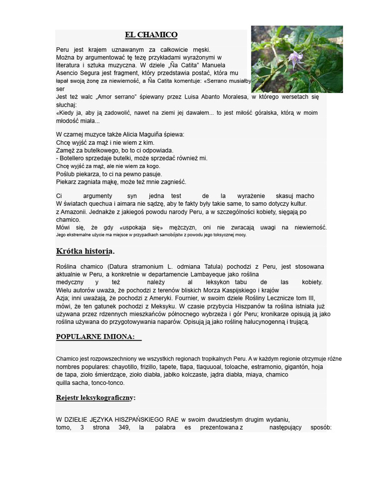 El Chamico | PDF