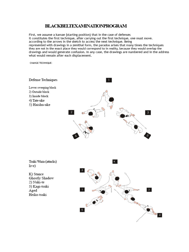 Black Belt Examination Techniques Guide | PDF | Karate | Kata