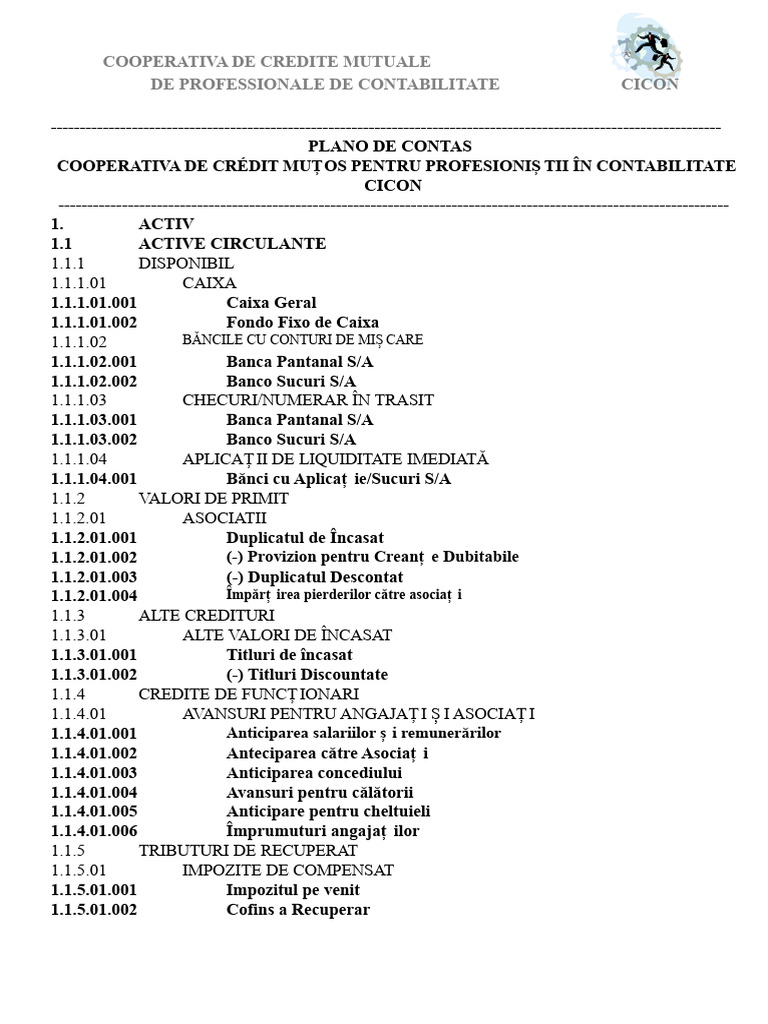 Plan de Conturi | PDF