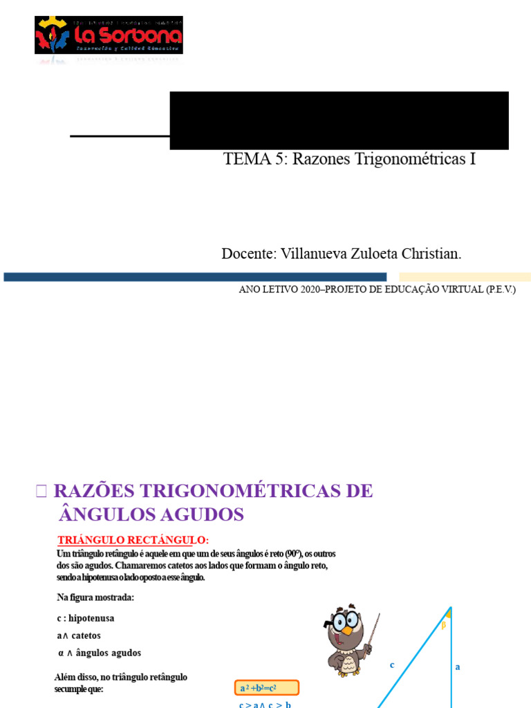 Razões Trigonométricas para 4° Primaria | PDF | Trigonometria | Triângulo