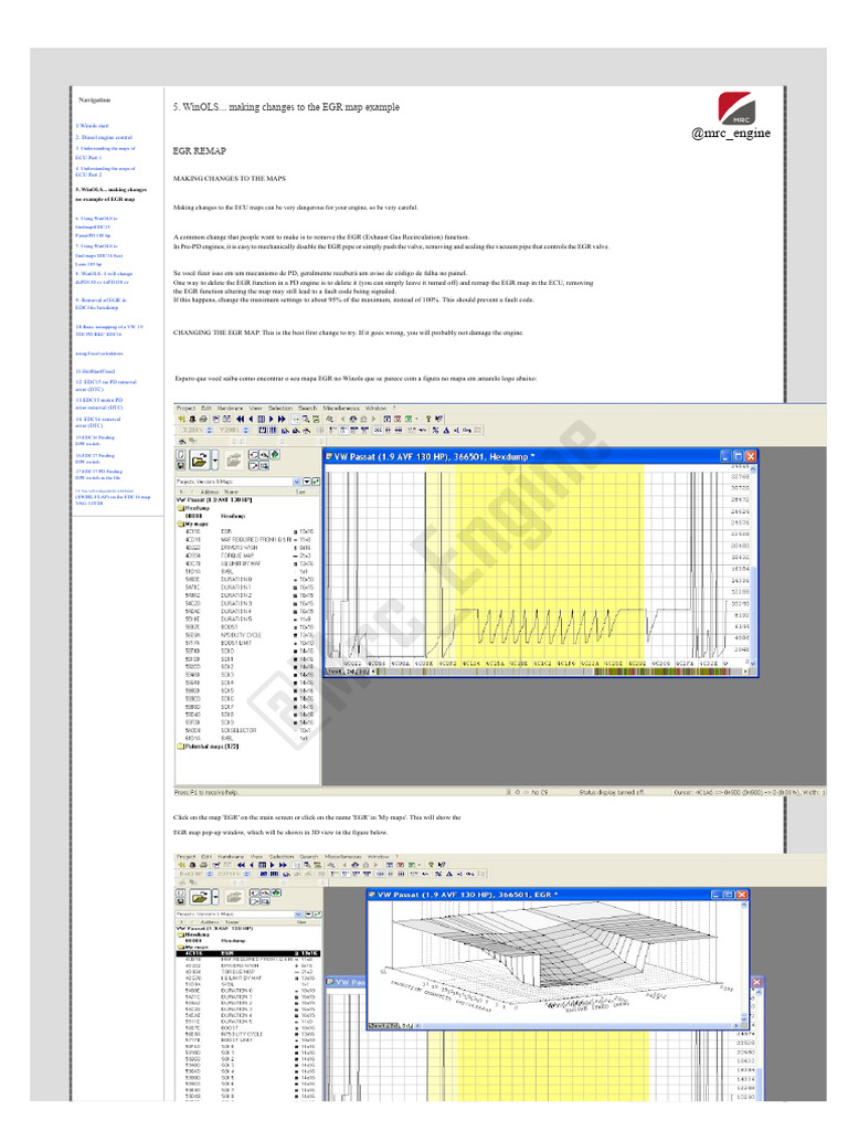 EGR Map Modification with WinOLS Guide | PDF