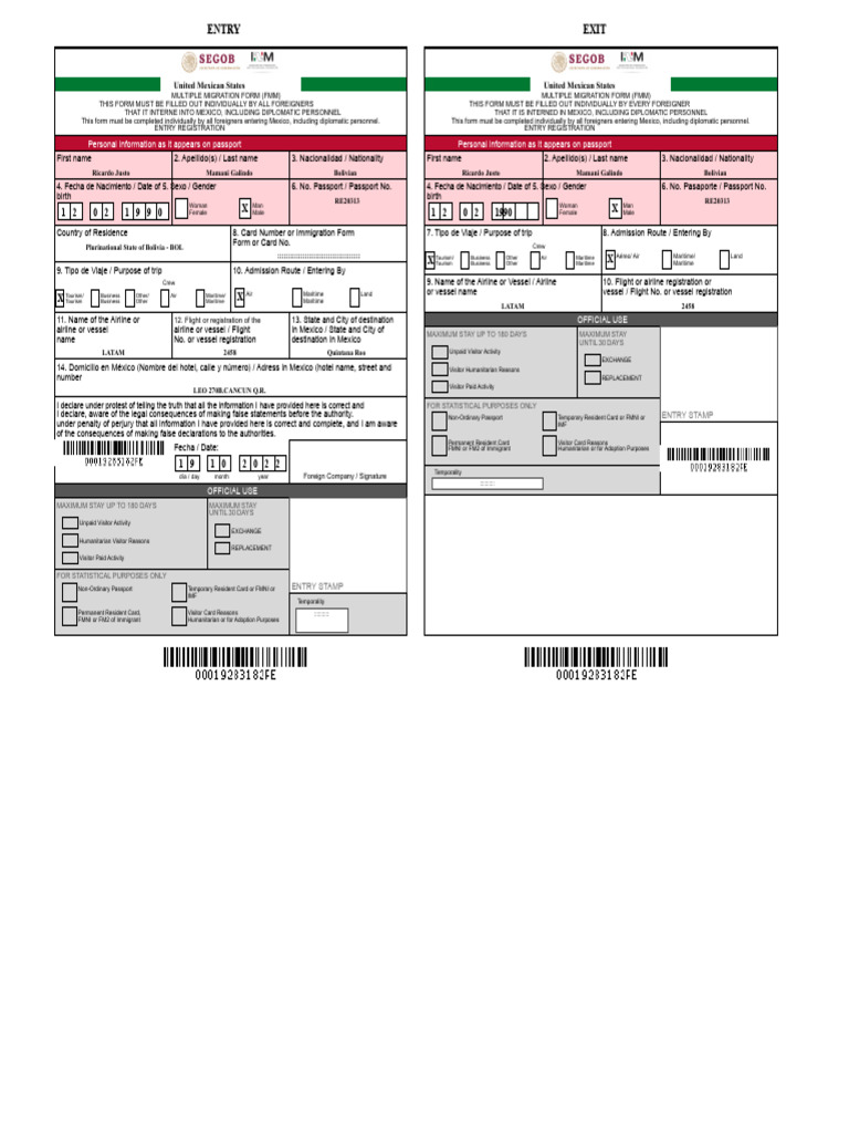 Mexico Immigration Form Instructions | PDF | Travel Visa | Human Migration