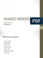 Makro Mineral