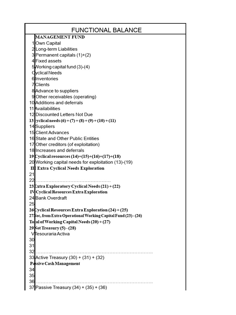 Functional Balance Management Overview | PDF | Working Capital | Equity ...
