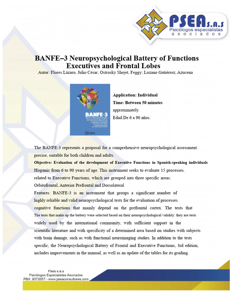 BANFE-3 Neuropsychological Assessment Tool | PDF