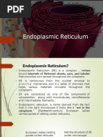 SER vs RER: Functions and Differences | PDF | Endoplasmic Reticulum ...
