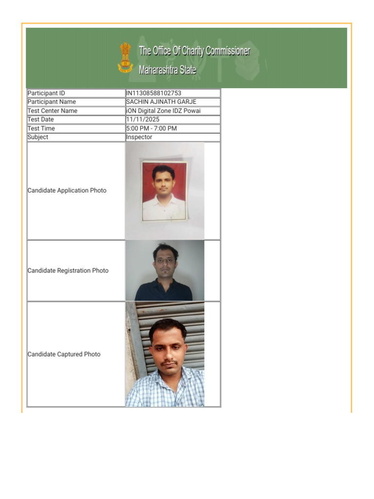 Inspector | PDF