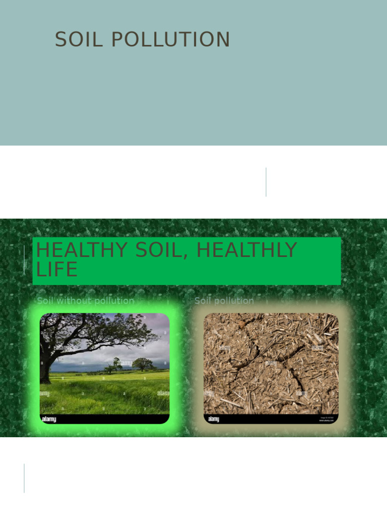 Soil Pollution | PDF