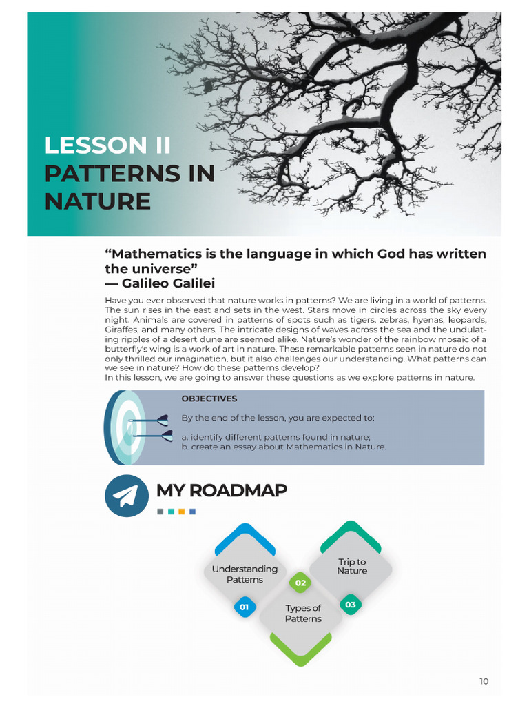 Mod1 Lesson 2 | PDF