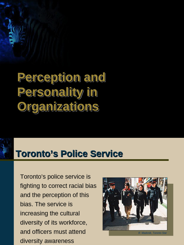 Perception and Personality in Organizations | PDF | Perception ...