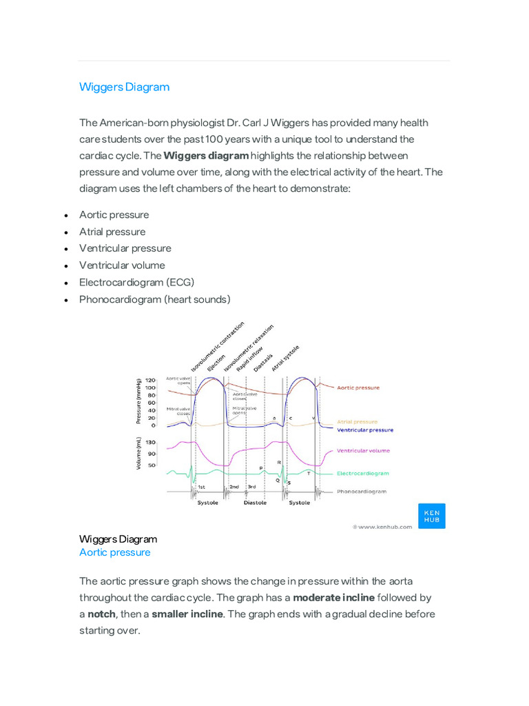 Understanding the Wiggers Diagram | PDF | Ventricle (Heart) | Diastole