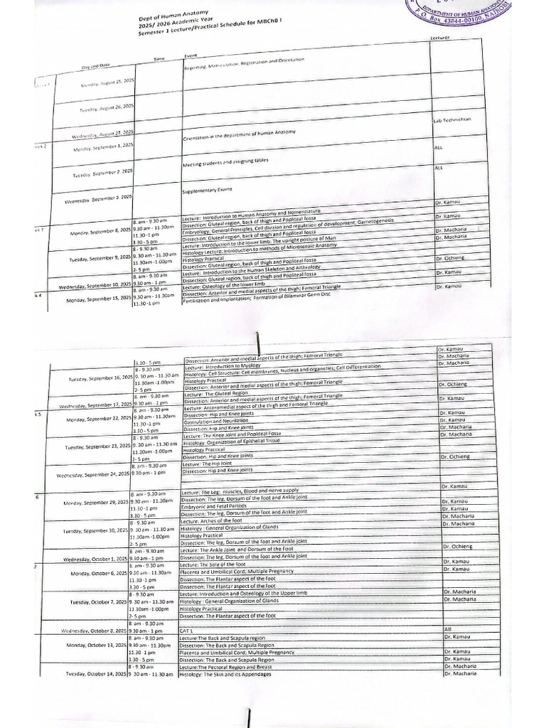 Timetable MBCHB | PDF
