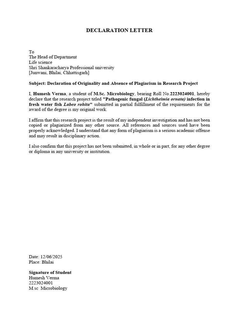 Declaration of Originality in Research Projects | PDF