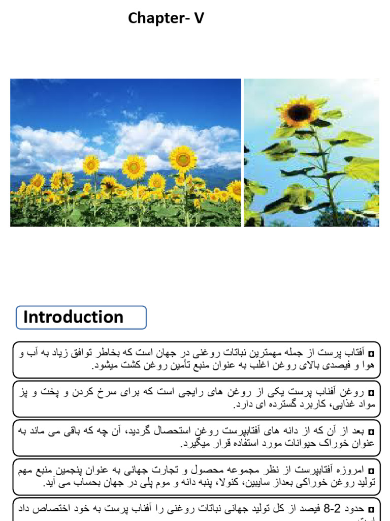 5 - Sunflower | PDF