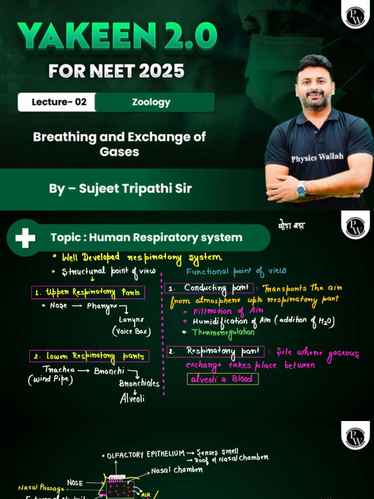 Breathing and Exchange of Gases 02 Class Notes | PDF
