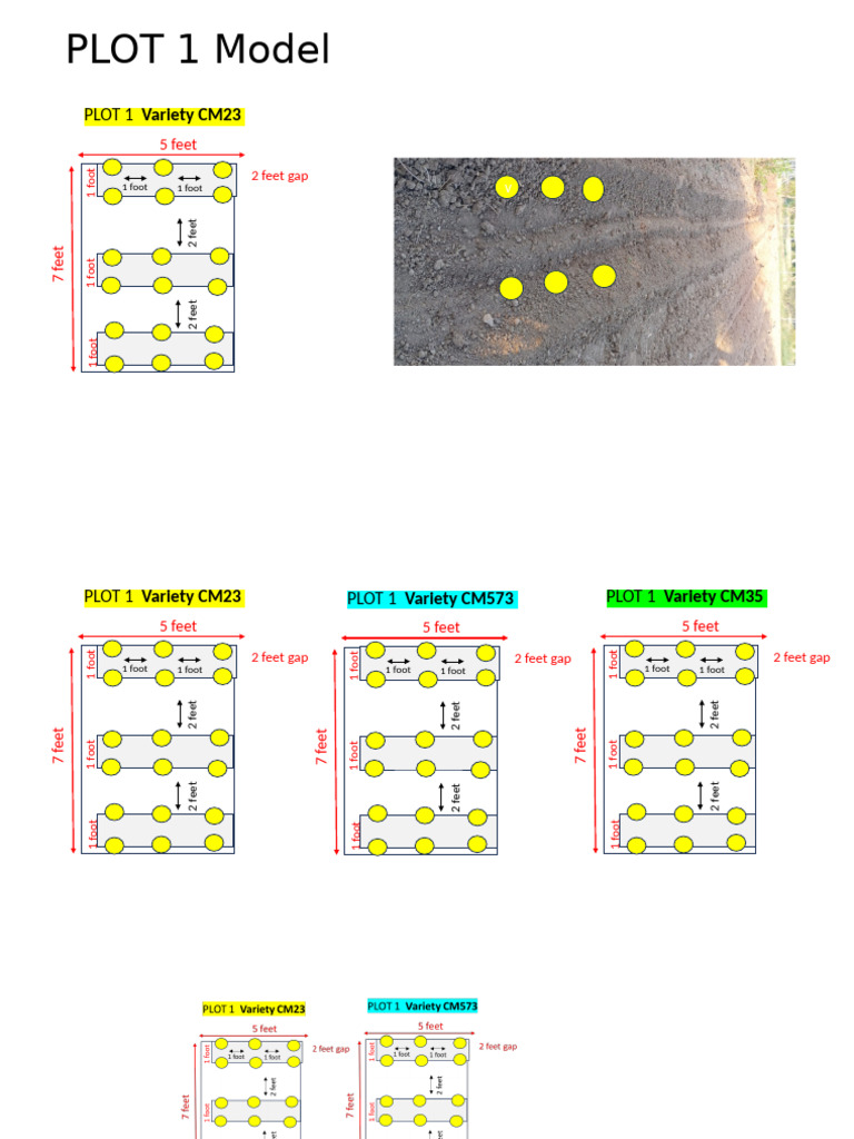 PLOT 1 Variety Layout and Dimensions | PDF
