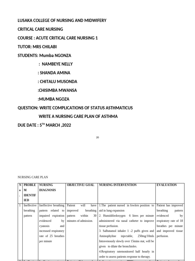 Acute Critical Care Nursing Plan | PDF | Respiratory Tract ...
