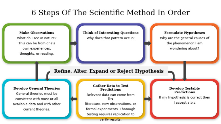 65300-6 Steps of the Scientific Method in Order | PDF