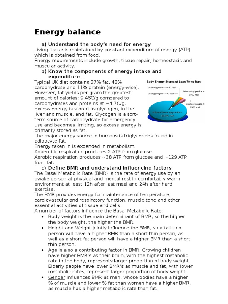 Energy Balance and Obesity PDF Dieting Adipose Tissue
