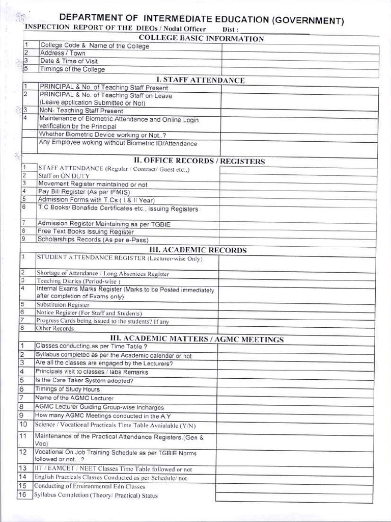 Govt DIEOs Inspection | PDF