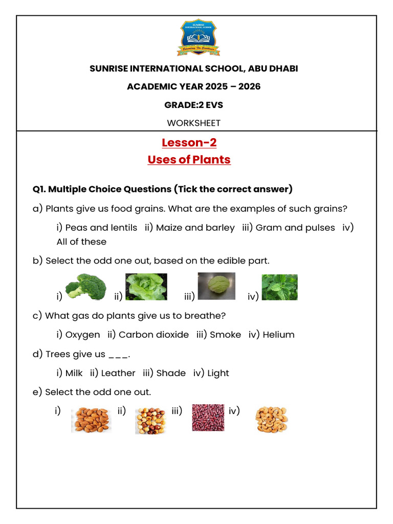 Grade 2 EVS Worksheet on Plant Uses | PDF | Plants | Trees
