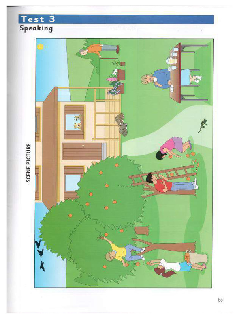 Starters 7 Book Trang 6 | PDF