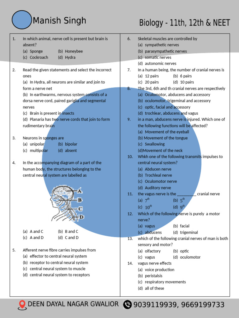Nervous System and Neuron Function Quiz | PDF | Synapse | Axon