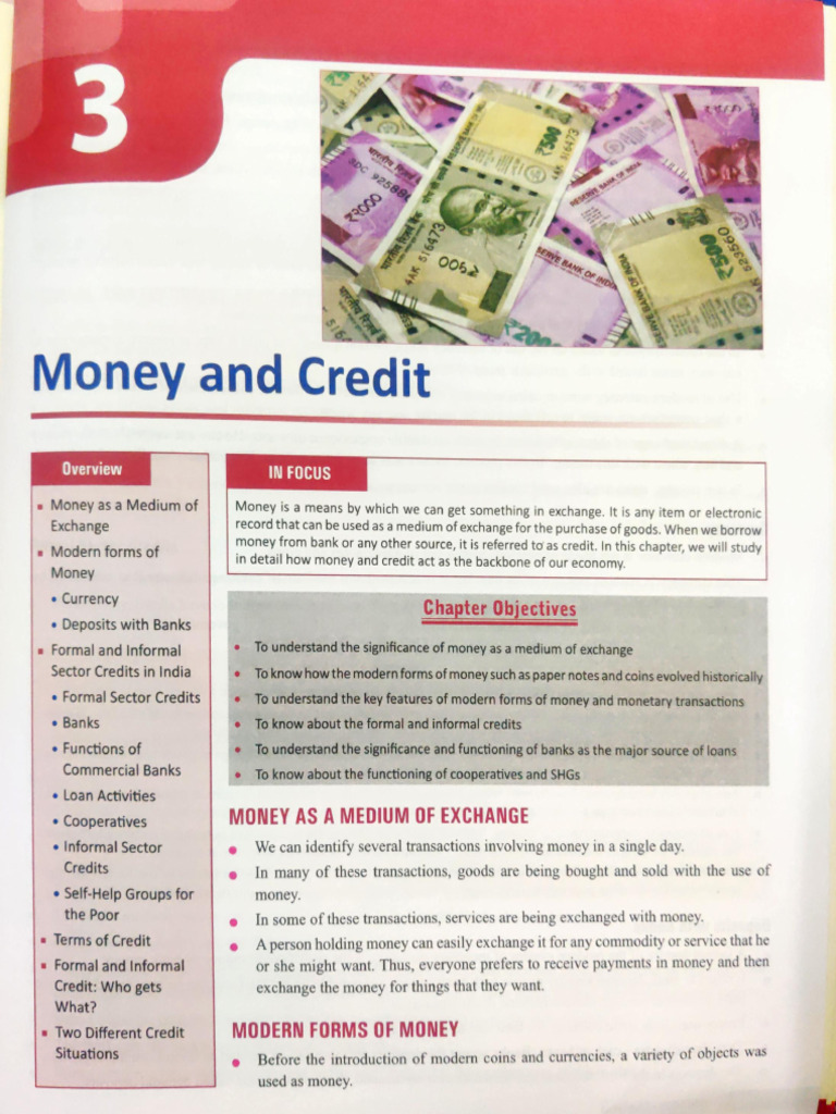 Economics Class 10 Notes | PDF