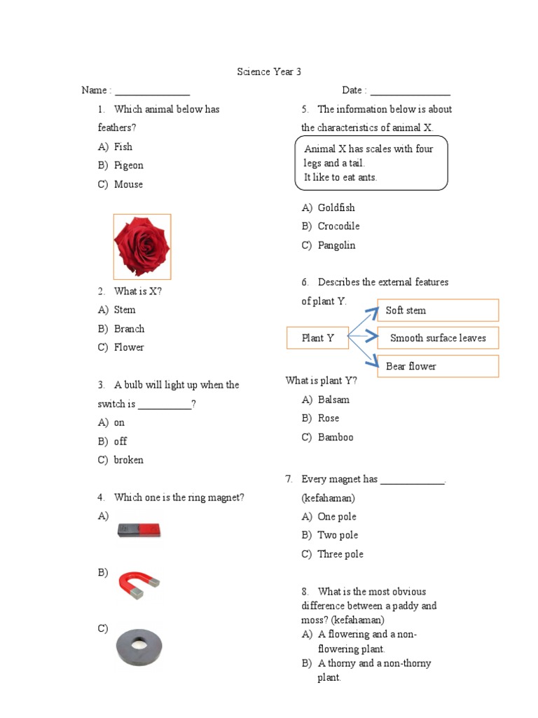 Year 3 Science Exam Paper | PDF