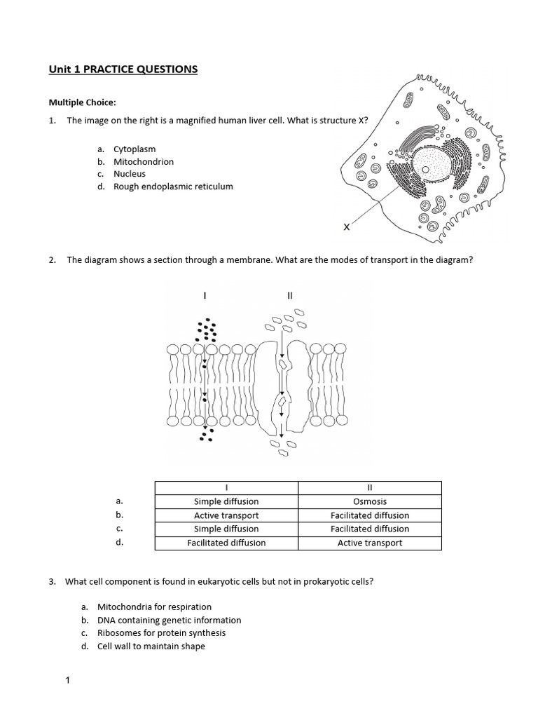 Unit 1 & Unit 2 Practice Questions | PDF | Cell (Biology) | Acid