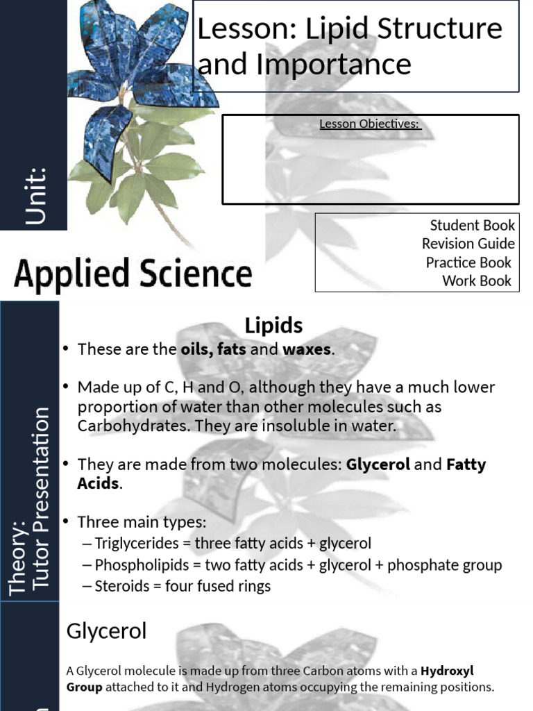 Understanding Lipid Structure and Functions | PDF | Fatty Acid ...