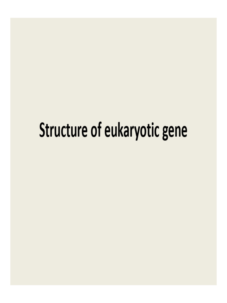 Eukaryotic Gene Structure Overview | PDF | Promoter (Genetics) | Gene