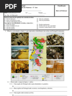 Test Rochas Solo e Seres Vivos 2008