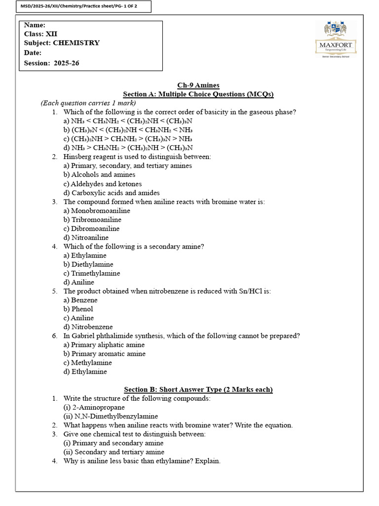 Class 12 CH - Amines Worksheet - 1 | PDF | Amine | Functional Group